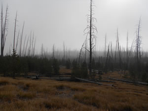 Colorado Wildfires leave behind potentially hazardous clean-up issues